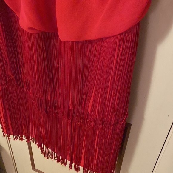 Red Flapper Dress - Picture 5 of 5